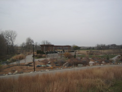 IMG_1263.JPG